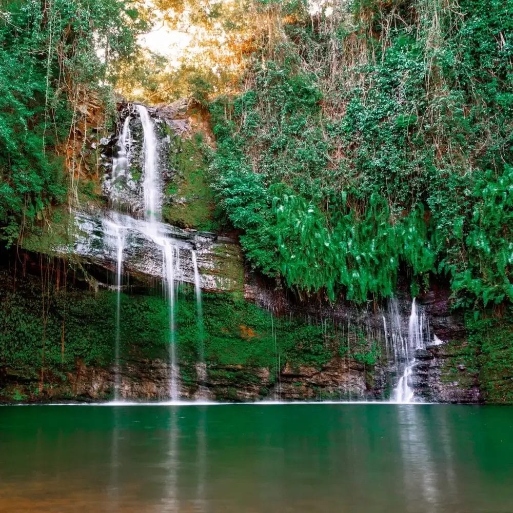 Una lussureggiante foresta verde circonda una cascata a più livelli che scende da rocce muschiate in una calma piscina color smeraldo. La luce del sole filtra attraverso gli alberi sovrastanti, creando una scena tranquilla e naturale.