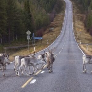 Rovaniemi Evasione D’inverno