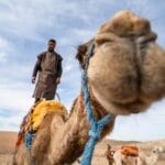 Tour Magia delle Città Imperiali e Notte nel Deserto di Agafay