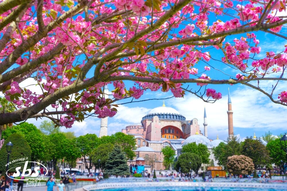 I Tesori della Turchia 4★/5★