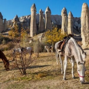 Meraviglie della Turchia – Programma B 4★