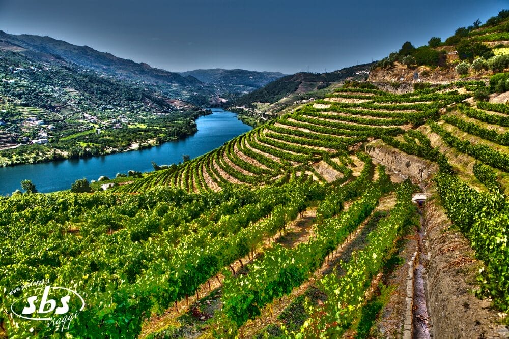 Vigneti terrazzati si estendono lungo verdi colline accanto a un fiume sinuoso sotto un cielo azzurro e limpido, con valli lussureggianti e montagne lontane sullo sfondo: una scena pittoresca degna di qualsiasi Bozza automatica.