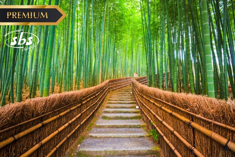 I gradini di pietra si snodano attraverso una fitta foresta di bambù, fiancheggiata da alti steli verdi e ringhiere di legno. Nell'angolo superiore sinistro compaiono l'etichetta "PREMIUM", il logo "sbs" e il testo "Bozza automatica".