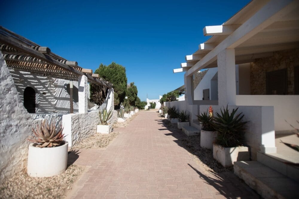 Un sentiero lastricato corre tra edifici bianchi e rustici con accenti in pietra e portici ombreggiati. Grandi piante grasse in vaso fiancheggiano il sentiero, conferendo un fascino tranquillo a questa scena automatica di Bozza sotto un cielo azzurro e limpido.
