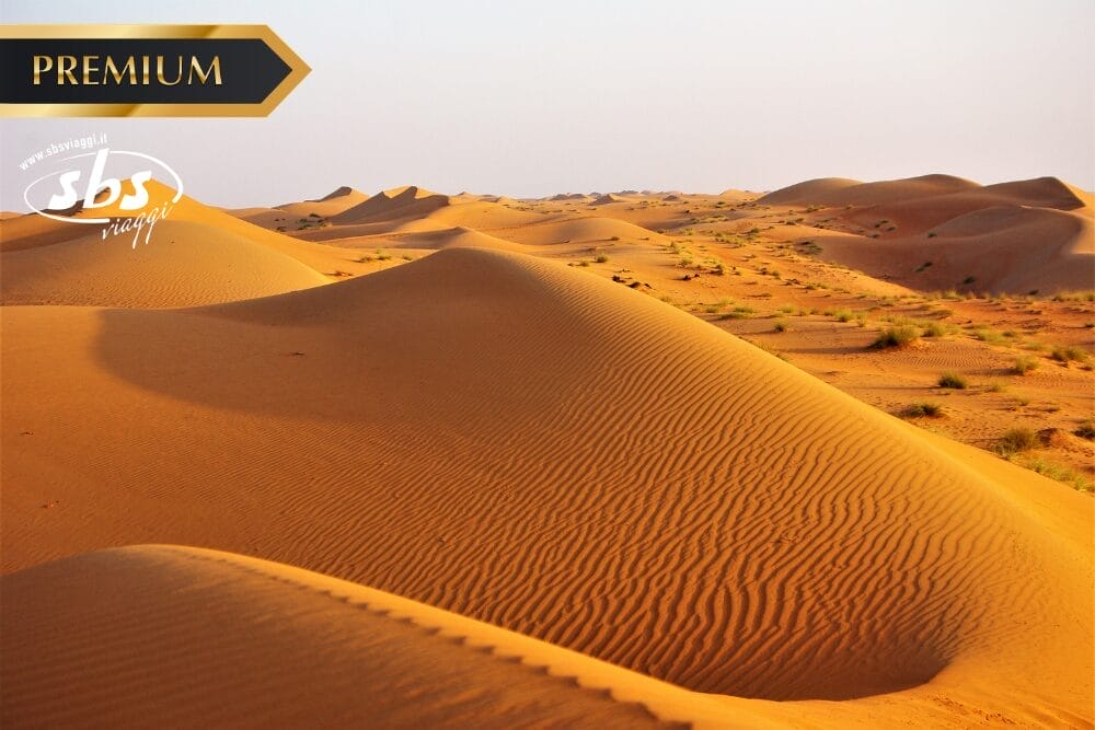 Dune di sabbia si estendono su un paesaggio desertico illuminato dal sole e con una vegetazione rada. L'etichetta "PREMIUM" e "Bozza automatica" appaiono nell'angolo in alto a sinistra, mentre il logo "sbs" è sovrapposto all'immagine.