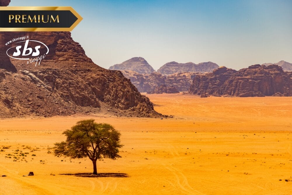 Un albero solitario si erge in un vasto deserto arancione circondato da scogliere rocciose e montagne lontane sotto un cielo azzurro e limpido. I loghi "Premium", "sbs riaggi" e "Bozza automatica" compaiono nell'angolo in alto a sinistra.