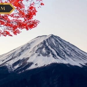 Montagna innevata sotto un cielo terso con foglie autunnali rosse nell'angolo superiore. L'etichetta "Premium" in oro e la sottile filigrana "Bozza automatica" sono sovrapposte in alto a sinistra.