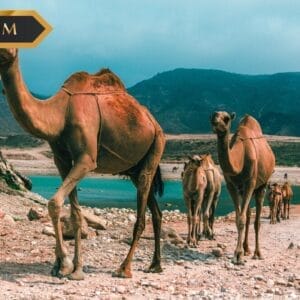 Oman – La Regina di Saba