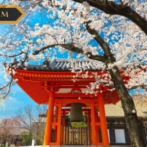 Alla Scoperta del Giappone – Itinerario Foliage