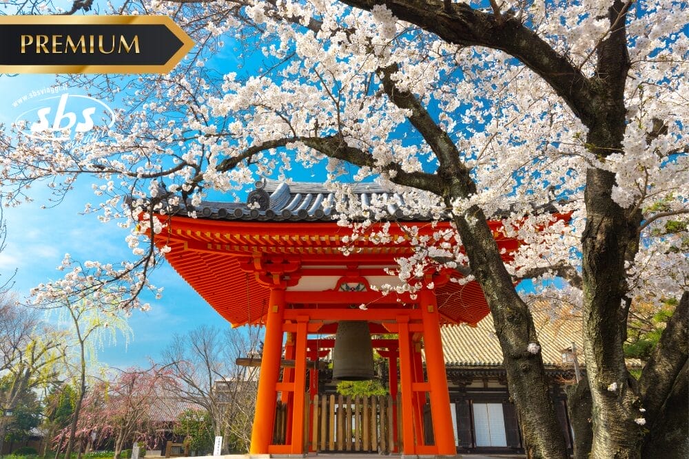 Alla Scoperta del Giappone – Itinerario Foliage