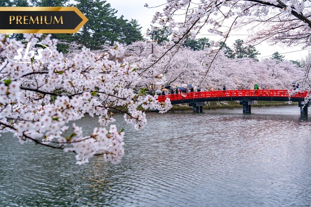 Alla Scoperta del Giappone – Itinerario Matsuri