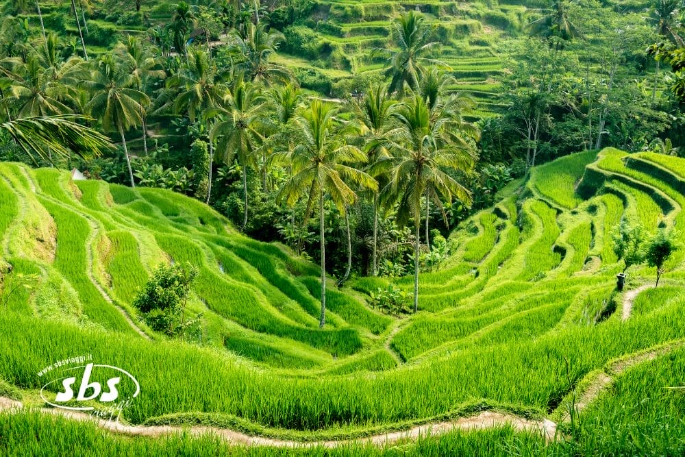 Gran Tour dell’Indonesia: Giava, Bali e Flores