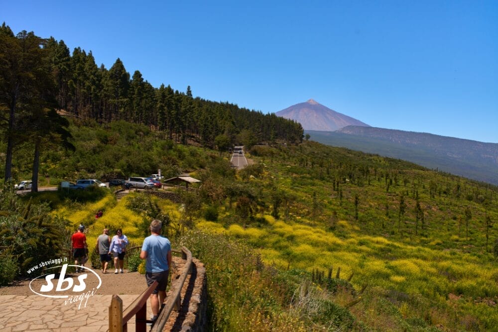 Un gruppo di persone cammina lungo un sentiero tra colline verdi con fiori di campo gialli, circondate da alberi, a Tenerife - Isola dell'Eterna Primavera - con una vetta visibile in lontananza sotto un cielo azzurro e limpido.
