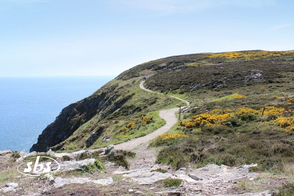Un tortuoso sentiero sterrato conduce lungo una scogliera erbosa e fiorita che si affaccia sull'oceano blu sotto un cielo limpido. Fiori gialli e arbusti verdi punteggiano il paesaggio, conferendo un tocco di fascino bozza automatico alla scena serena.