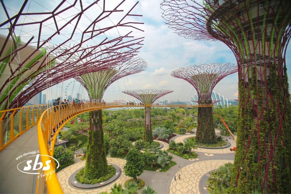 Una vista dell'OCBC Skyway e del Supertree Grove presso i Gardens by the Bay di Singapore, caratterizzato da alte strutture simili ad alberi con vegetazione, una passerella sopraelevata e giardini lussureggianti sottostanti nell'emblematica Singapore.