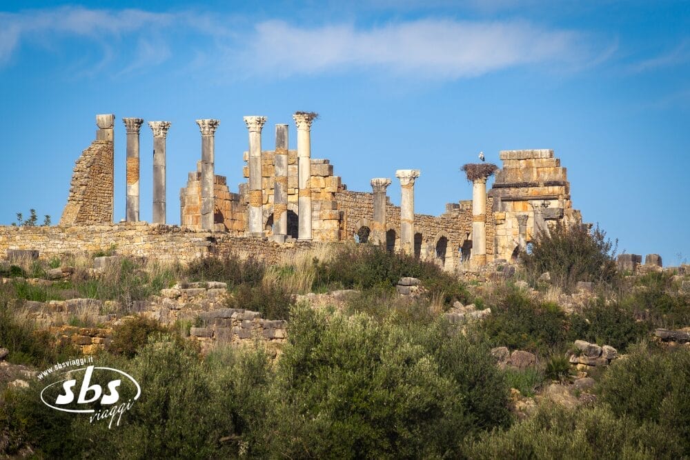 Antiche rovine romane con alte colonne e archi in pietra si ergono tra arbusti verdi sotto un cielo azzurro. La struttura parzialmente crollata evidenzia l'architettura storica. Le filigrane "SBS Images" e "Bozza automatica" sono visibili nell'angolo.