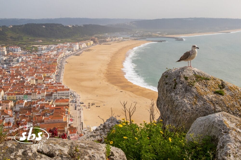 MiniTour Portogallo Express + Soggiorno Mare Glamour a Estoril