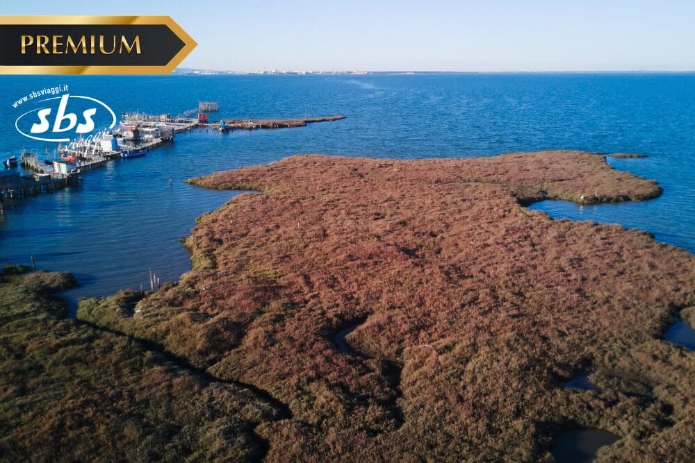 Veduta aerea di una zona umida costiera con vegetazione palustre marrone circondata da acqua blu; un molo e delle barche sono visibili sul lato sinistro sotto i loghi "PREMIUM", "sbs" e Bozza automatica.
