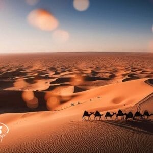 Un gruppo di persone a cavallo di cammelli attraversa dune di sabbia arancione al tramonto durante un Tour Fuga nel Deserto; le loro lunghe ombre si allungano sul vasto paesaggio, mentre leggeri effetti bokeh decorano il cielo limpido.