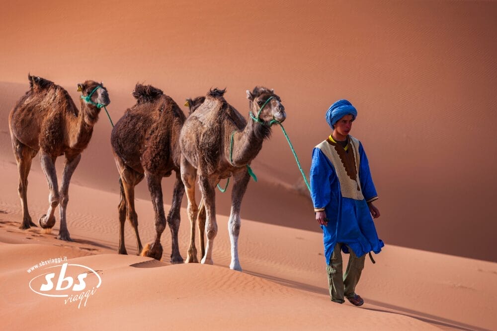 Una persona in tunica e turbante blu conduce tre cammelli con una corda attraverso dune di sabbia arancione sotto la luce del sole: una classica scena di Fuga nel Deserto, quando la carovana intraprende un viaggio nel deserto.