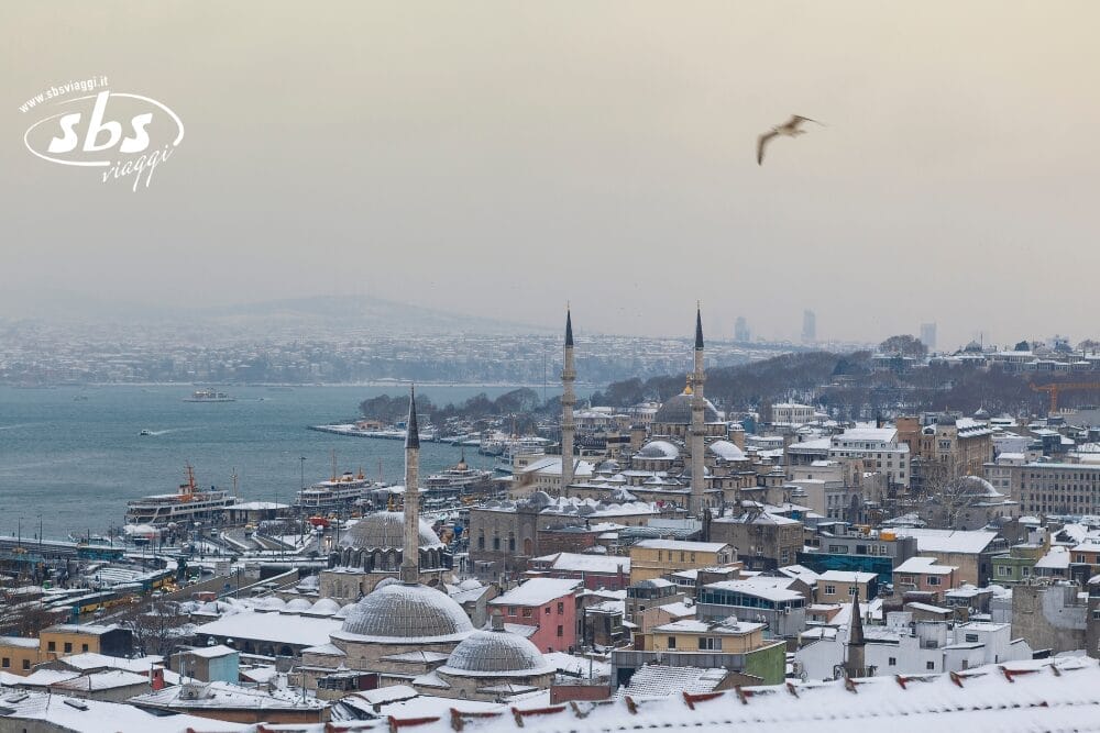 Un paesaggio urbano innevato di Istanbul, con la Bozza automatica, mostra moschee con cupole e minareti, edifici colorati e lo stretto del Bosforo sullo sfondo, sotto un cielo nuvoloso; un gabbiano vola sopra.